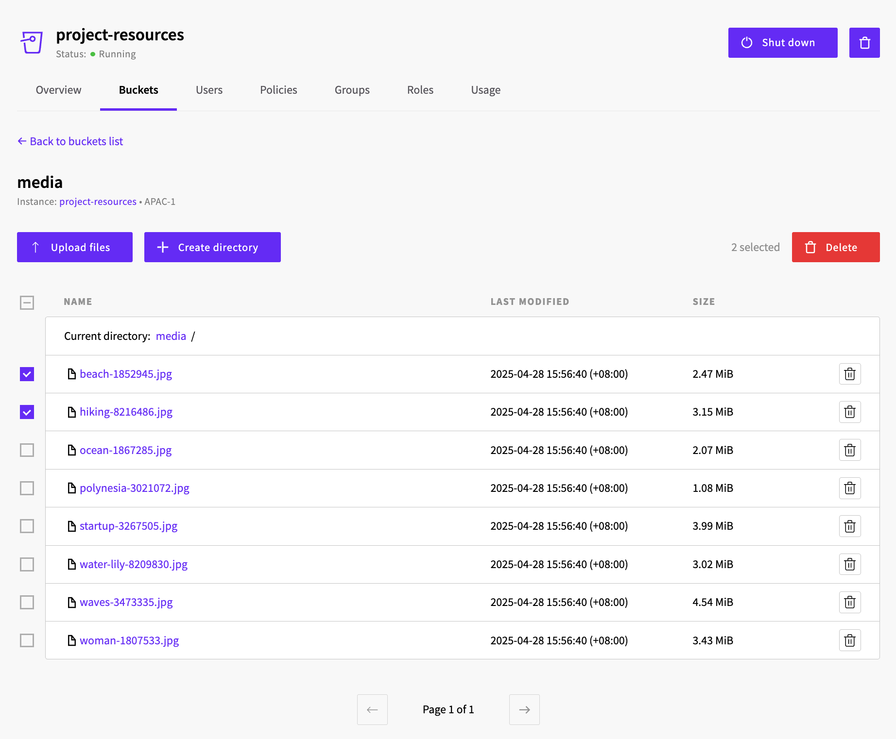 Object Storage file manager interface showing file selection and management options