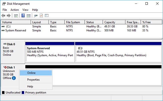 Windows bring disk online
