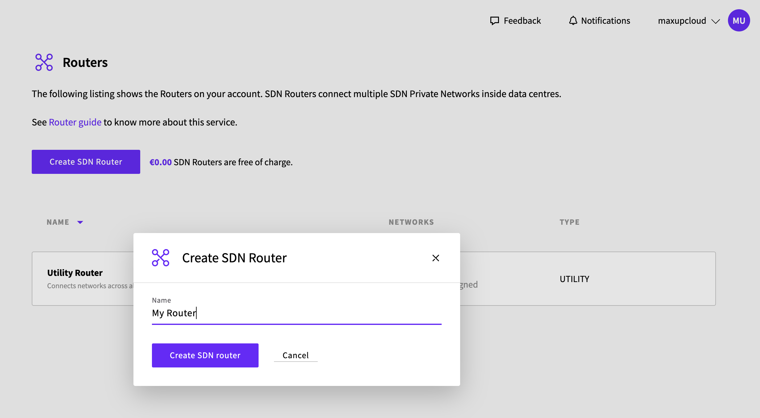 Creating new SDN Router