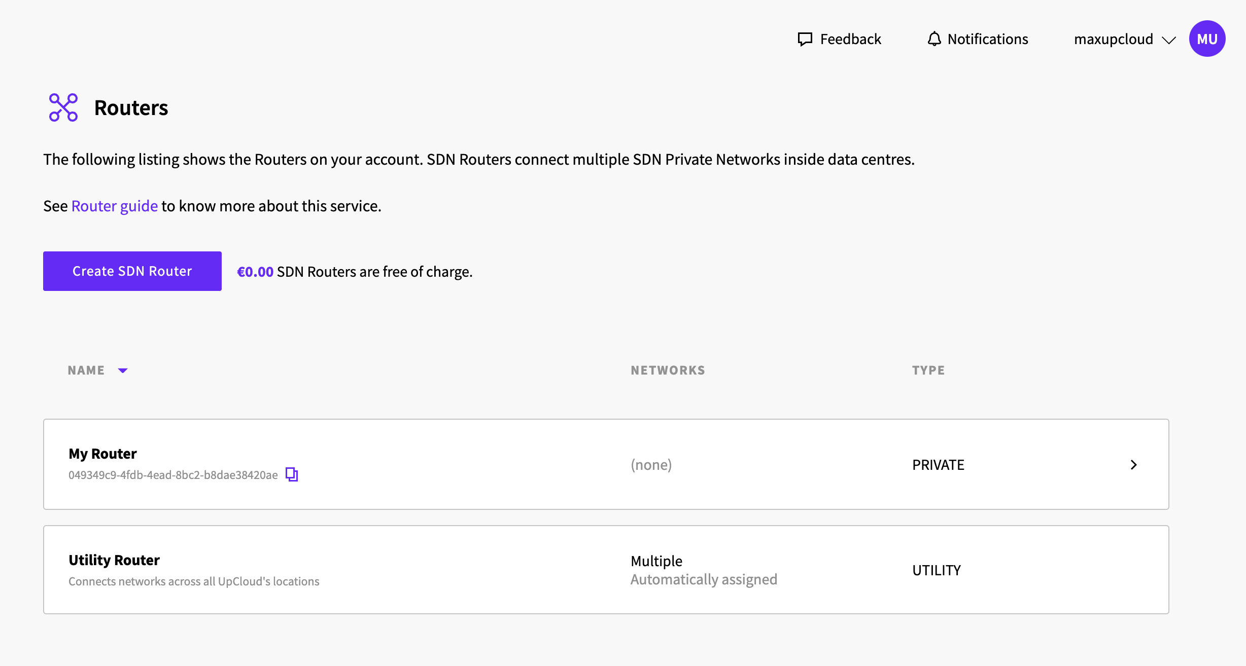New SDN Router