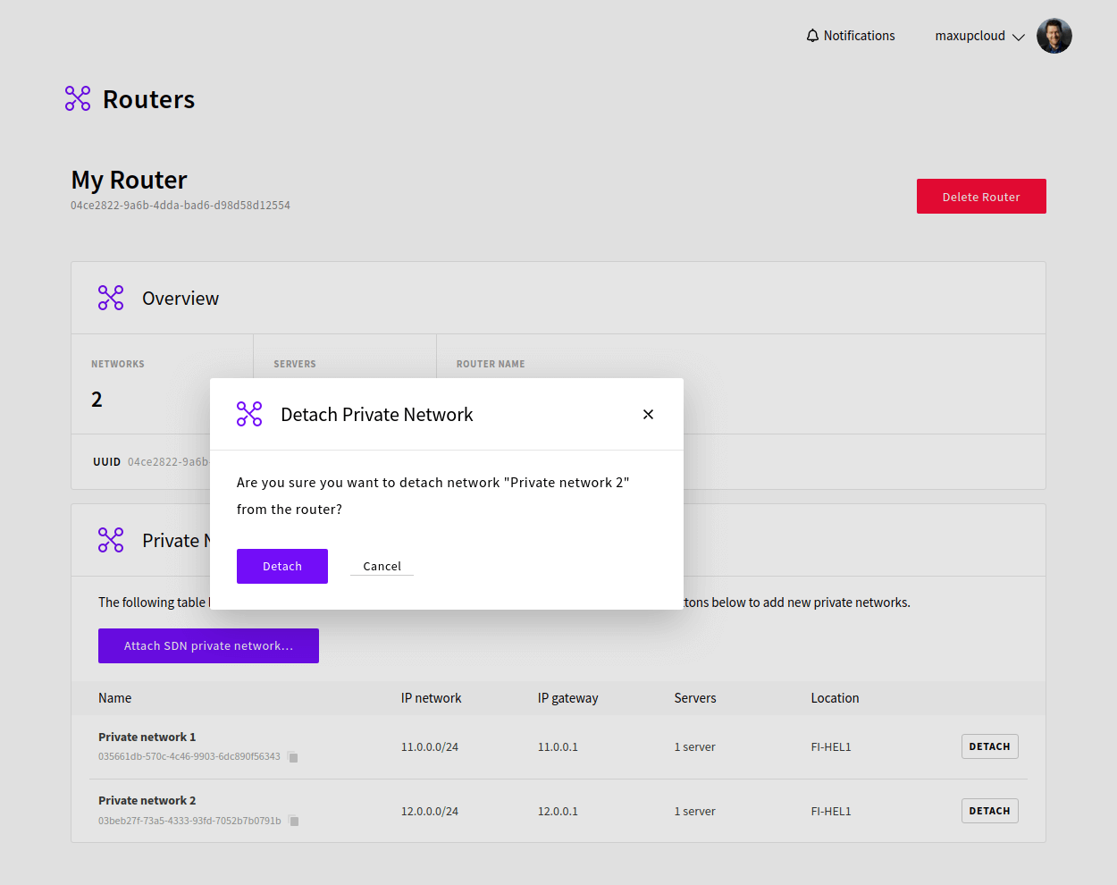 Confirm detaching network from SDN Router