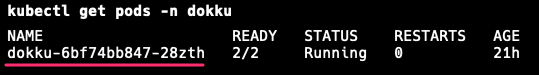 The output of the command kubectl get pods -n dokku