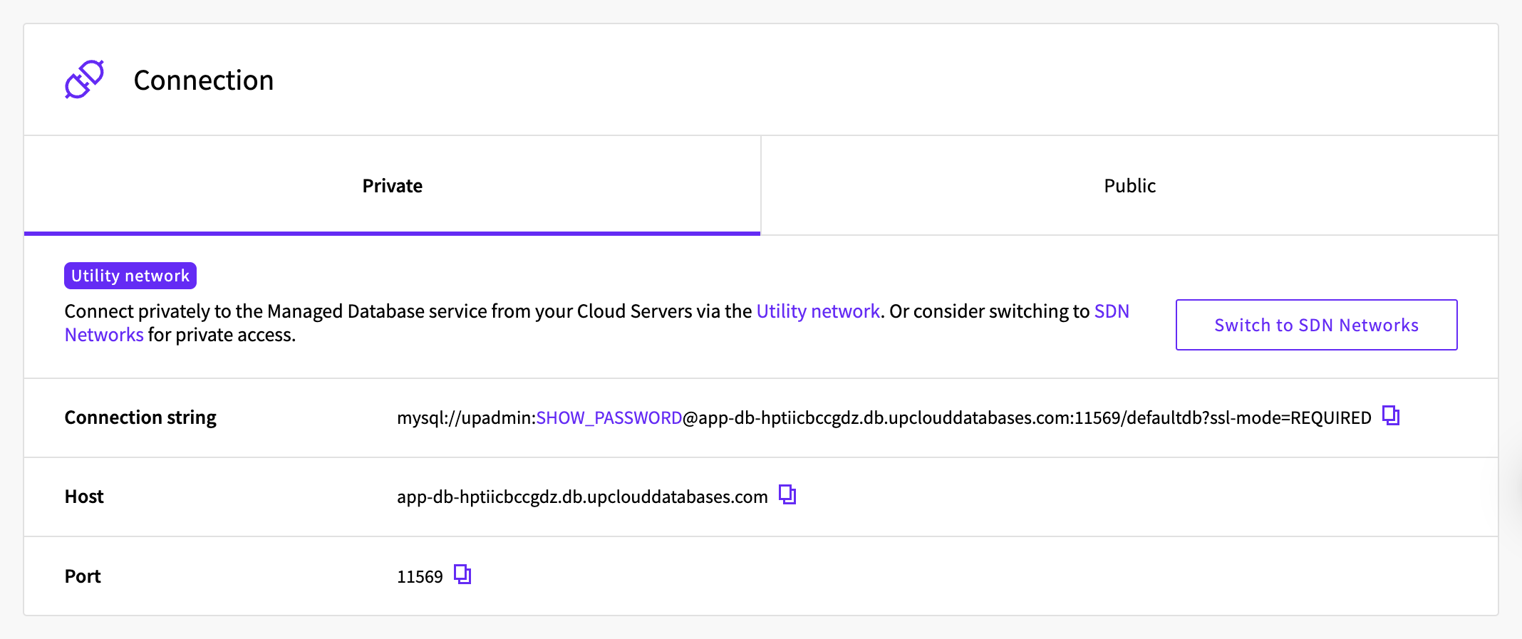 Connection section of the service's Overview tab