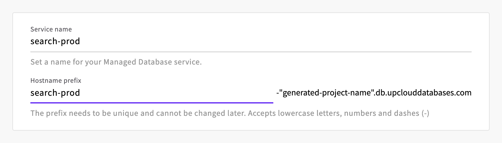 Service name and hostname prefix at the end of the create form