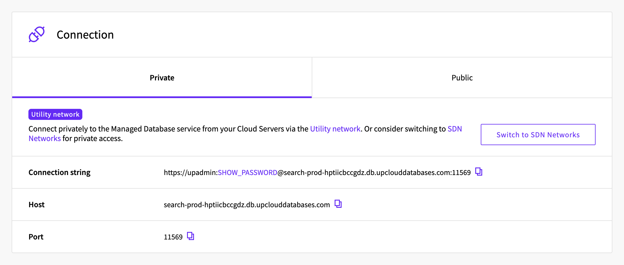 Connection section of the service's Overview tab