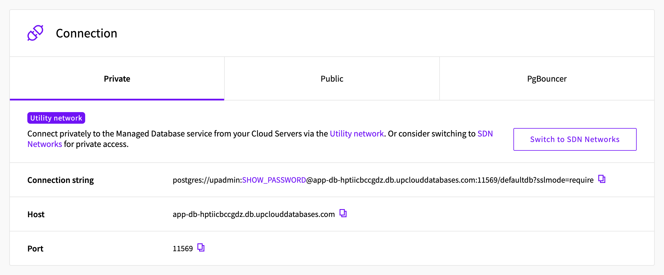 Connection section of the service's Overview tab