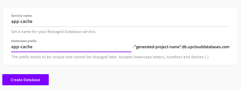Service name and hostname prefix at the end of the create form