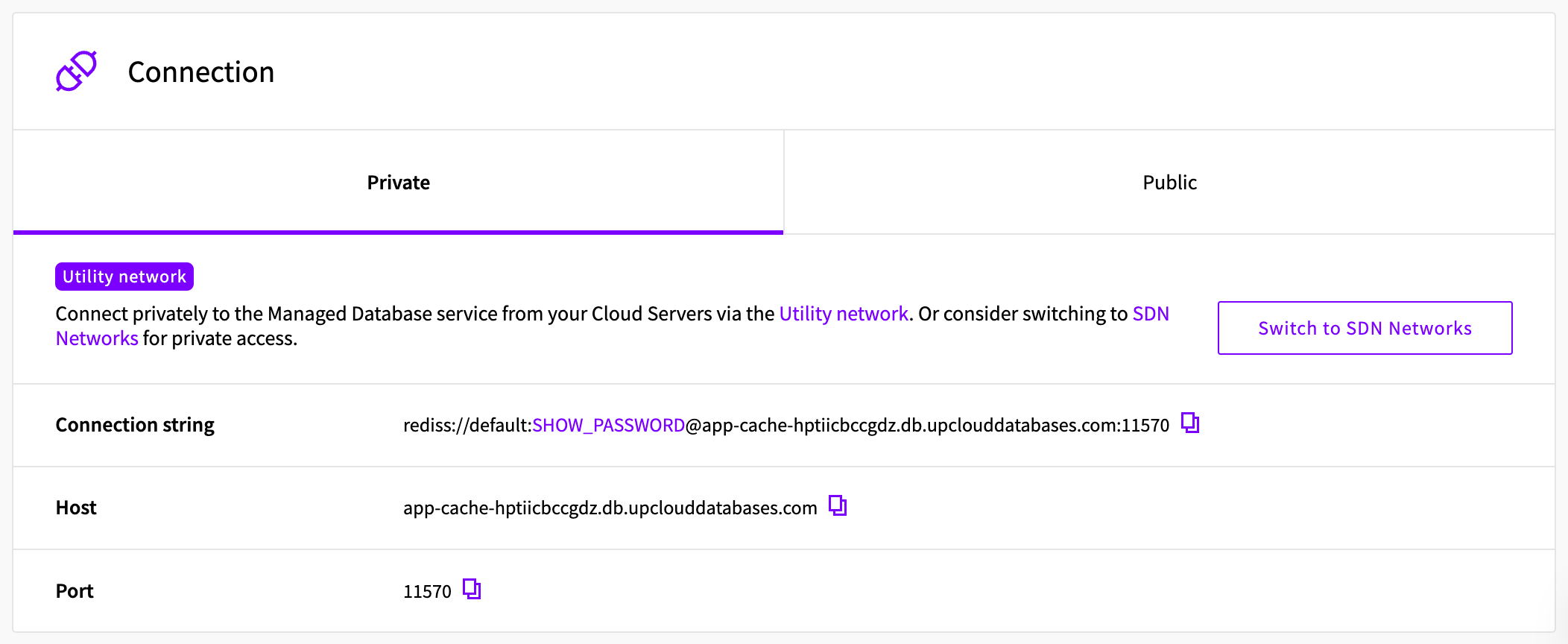 Connection section of the service's Overview tab