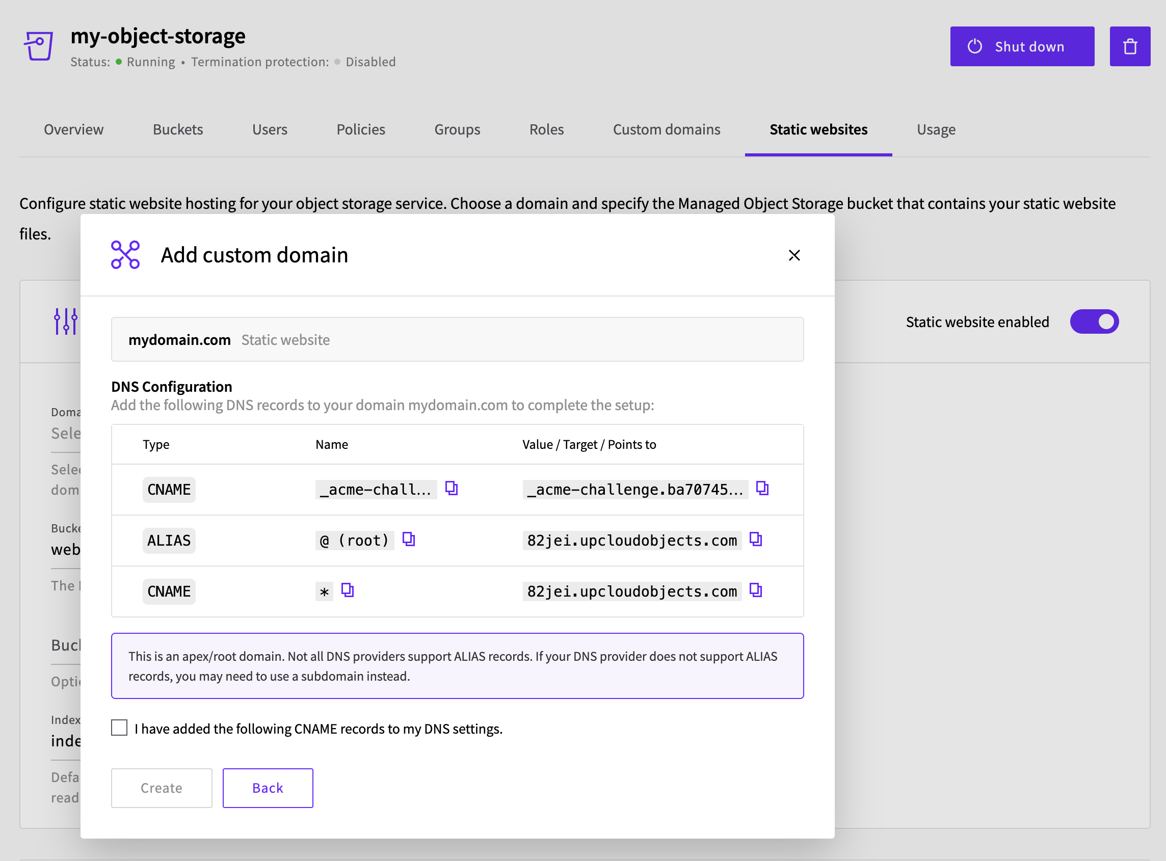 DNS configuration screen showing the required CNAME and ALIAS records to add at your domain provider, with a confirmation checkbox at the bottom