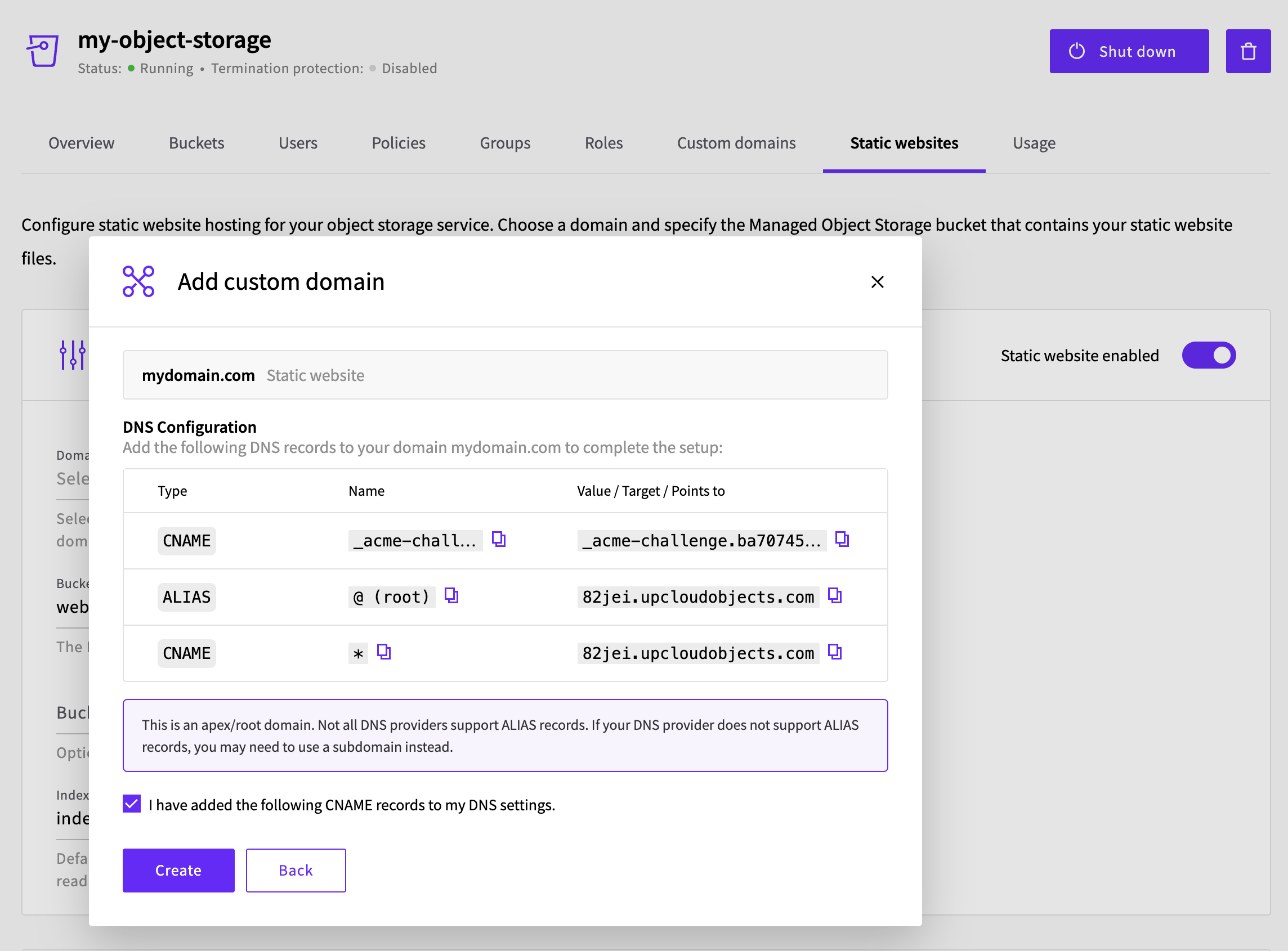 DNS configuration screen with the confirmation checkbox ticked and the Create button enabled