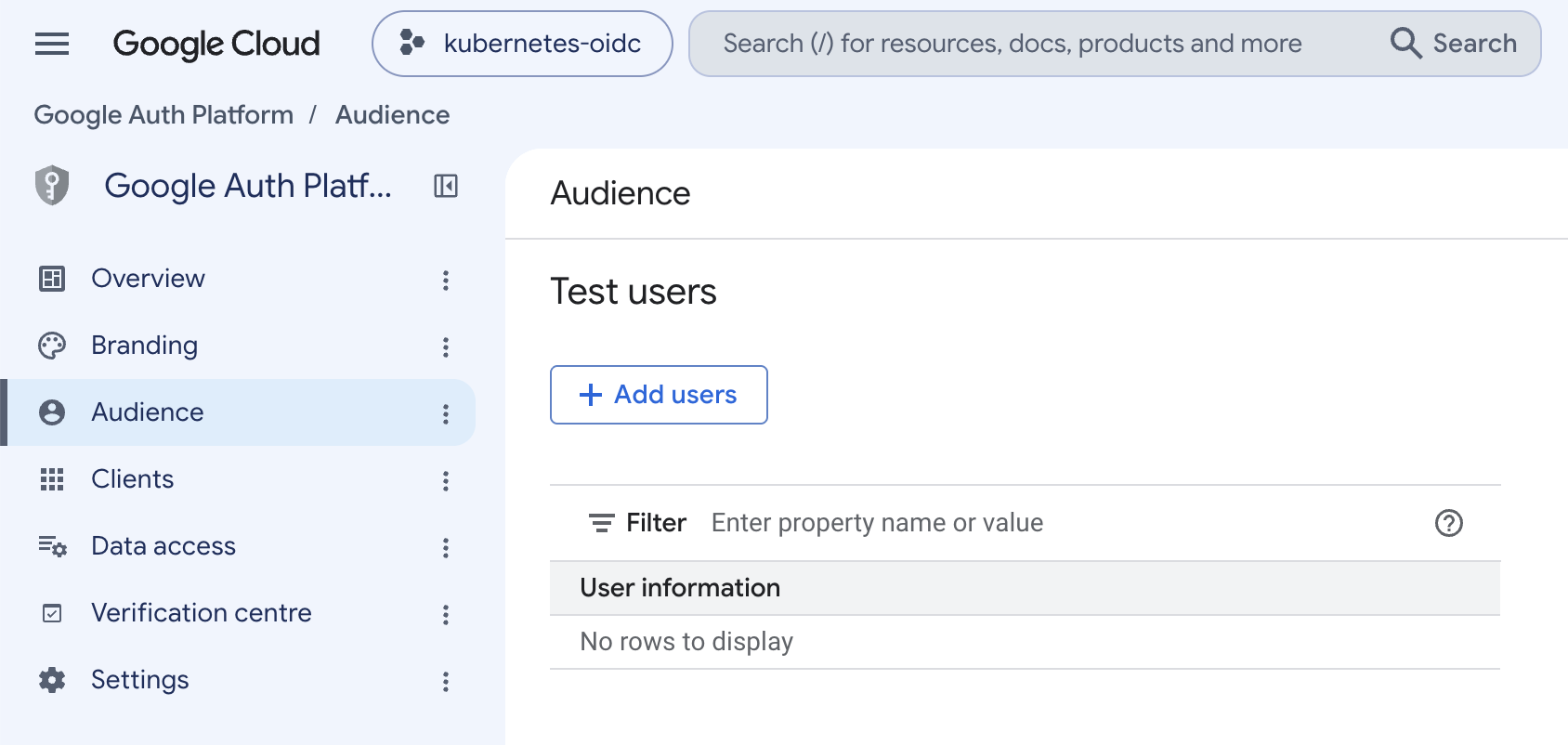 The Audience page with the Test users section and Add users button
