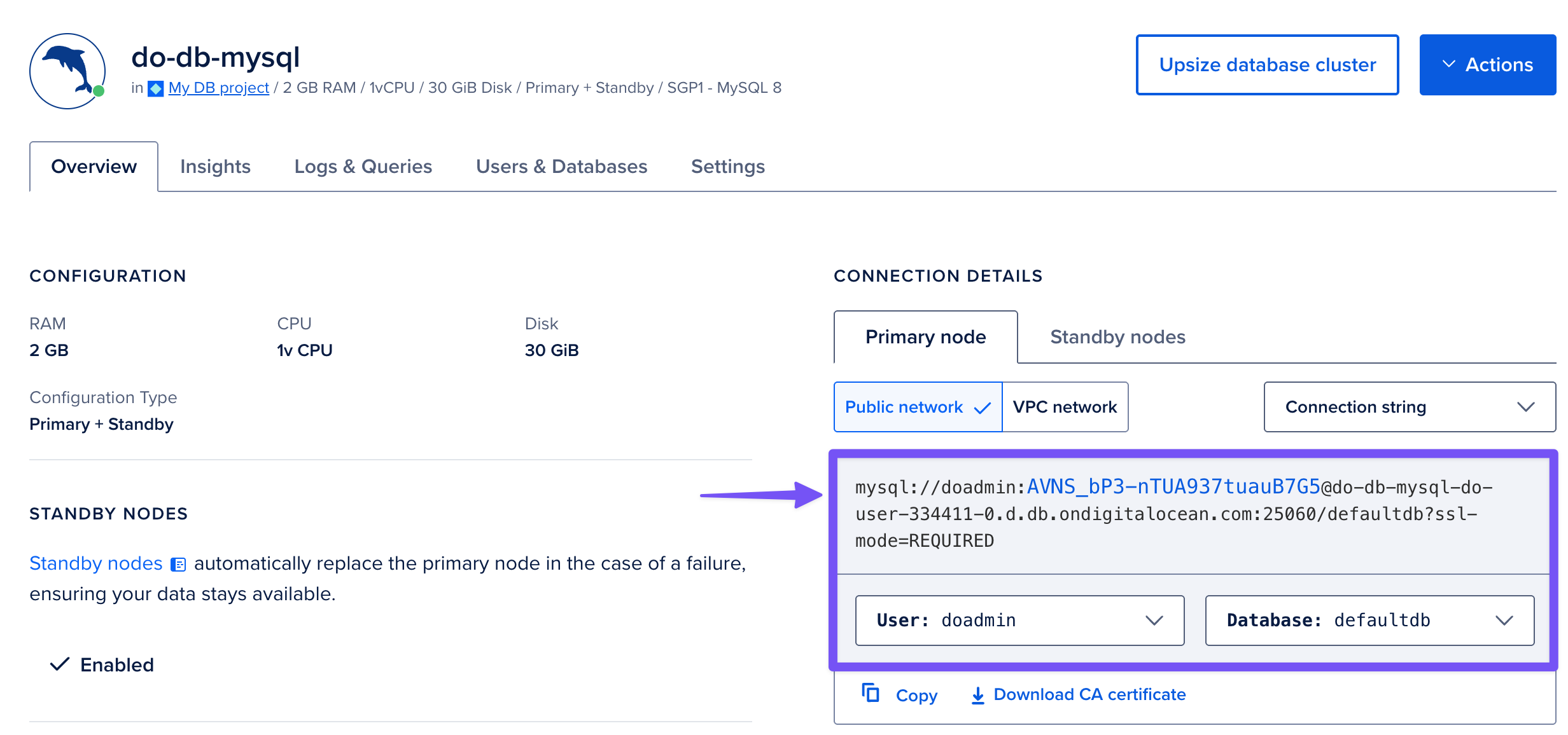 MySQL URI or manual configuration options