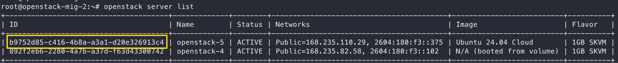 OpenStack command line output with a list of instances, showing instance IDs and names