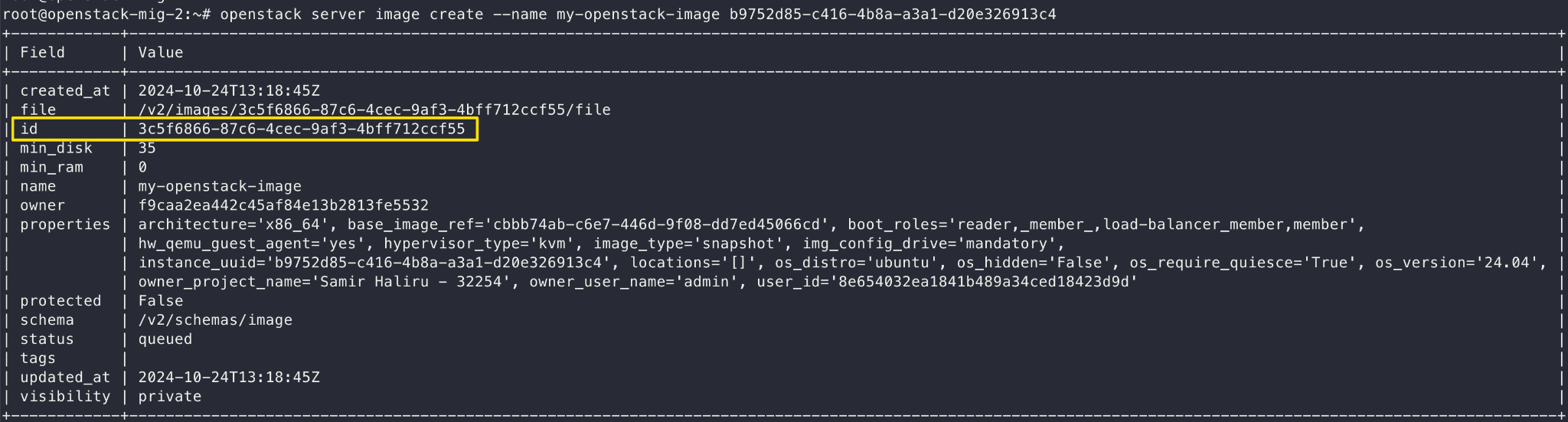 Details of the newly created OpenStack server image, including the image ID