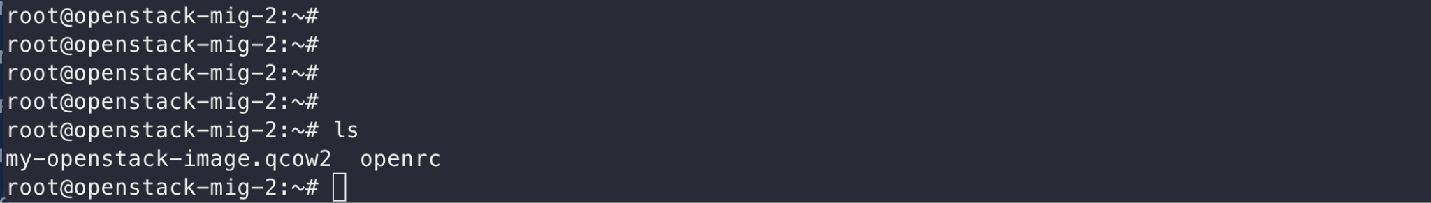 List of files in the server directory after downloading the .qcow2 image