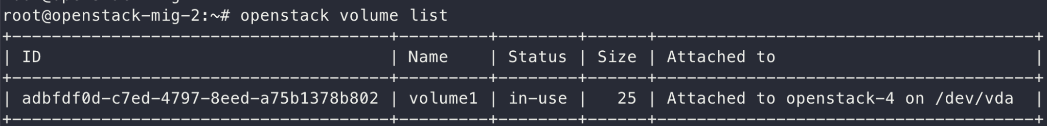 List of volumes in the OpenStack server, showing volume IDs and sizes