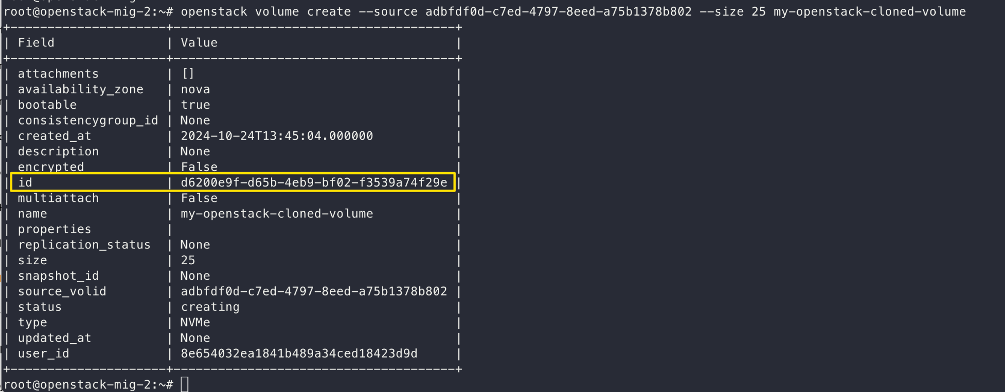 Details of the newly created cloned volume, including the cloned volume ID