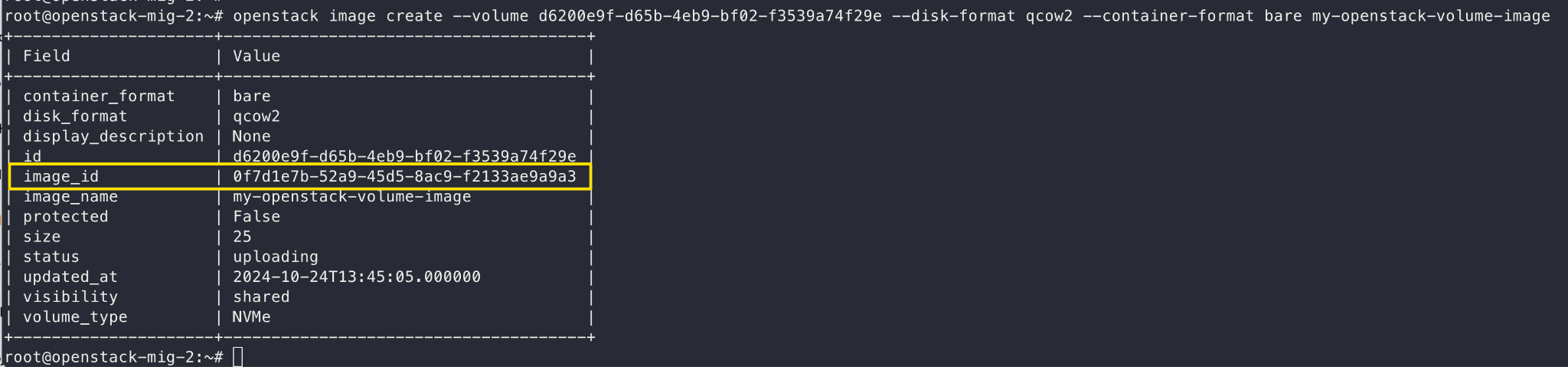 Command output showing the progress of converting a cloned volume to an image