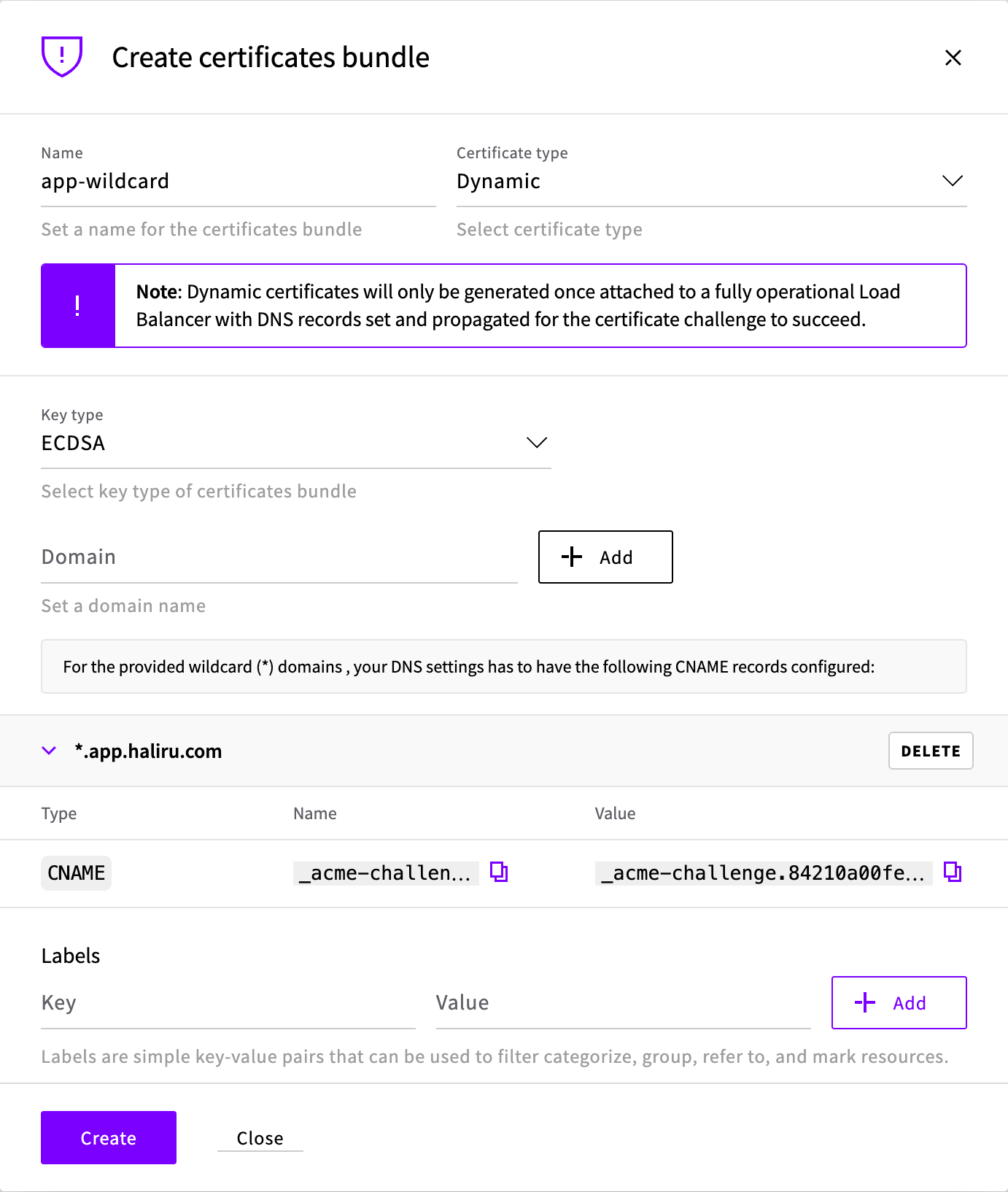 Create certificates bundle window with a wildcard domain