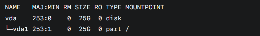 Terminal output of the lsblk command showing mounted storage devices