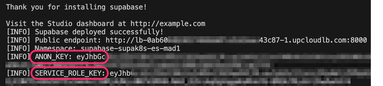 Output of the script showing the API credentials