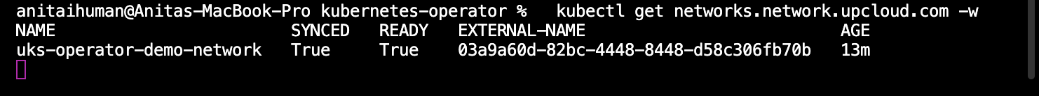kubectl get networks - When Do You Need a Kubernetes Operator? A Practical Guide