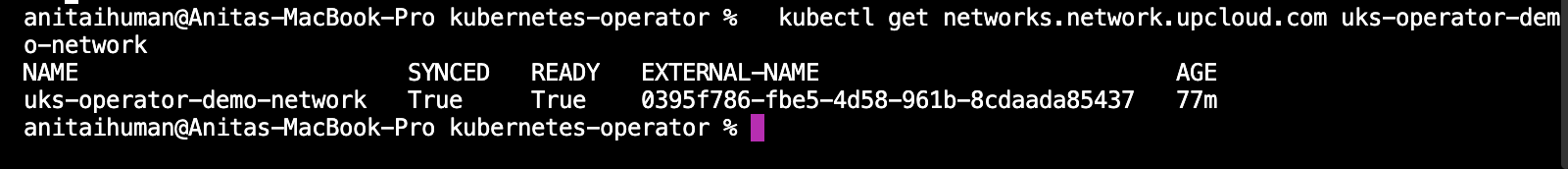 kubernetes operator kubectl get networks - When Do You Need a Kubernetes Operator? A Practical Guide