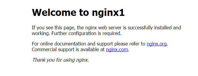 Nginx custom default page